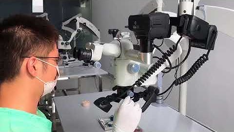 How to conduct microscope？