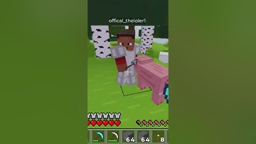 1v1 with @Iamalooler in craftopia #roblox #craftopia #fypシ゚viral