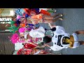 '25 市川まつり サンバパレード #3／Flor de Matsudo Cereja（マツド・セレージャ）