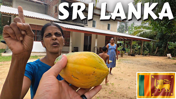 This Happened When I Went Back To Find Her 🇱🇰