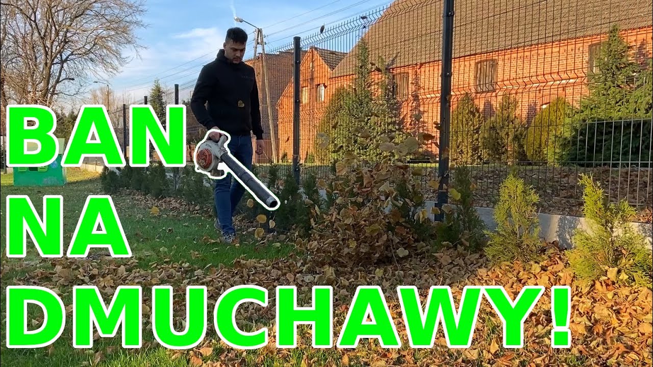 Kolejne Zakazy używania Dmuchaw Spalinowych i Elektrycznych !! Dlaczego?