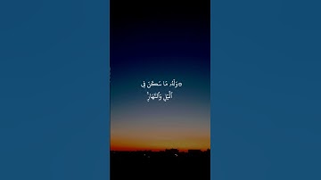 قران كريم بصوت القارئ الشيخ عبدالله الموسى