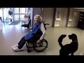 MSJ Nursing Home Therapy Dog MSJ Nursing Home Therapy Dog