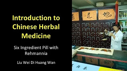 Six Ingredient Pill with Rehmannia - Liu Wei Di Hu...