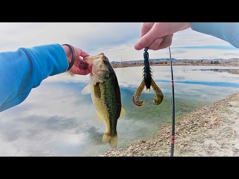 Bass Fishing with Googan Baits--(Denver Colorado Fishing ...