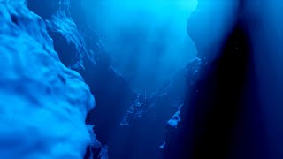 Mauvais Sang - Bushman Hole [Official Music Video]