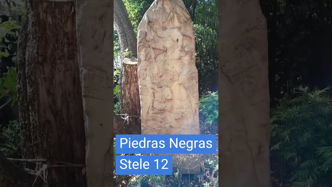 ANCIENT MAYA Monument Replicas at the National Museum of Anthropology, Mexico City