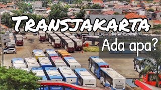 ADA APA saja di TRANSJAKARTA