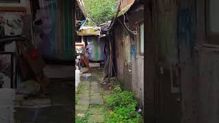 Shanty town in Gangnam. Walking Through Guryong Village, Slum in Seoul. #shorts