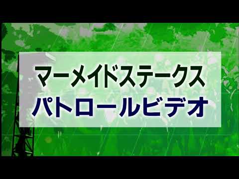 マーメイドステークス 2021 パトロールビデオ 【シャムロックヒル】
