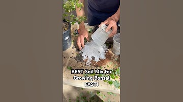 The BEST Soil Mix for Growing Bonsai FAST! #bonsai #bonsaitree #gardening #plants #tips #shorts