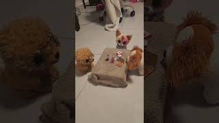 Worst Sleepover Ever