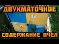 Двухматочное содержание пчел.Как одержать мед с отводков.Слабые отводки и товарный мёд с подсолнуха