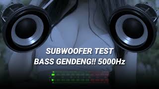 CEK SOUND SUBWOOFER TEST BASS GENDENG 5000Hz JANGAN COBA PLAY VOLUME TINGGI - DJ STYLE TRUMPET 2022