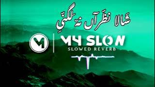 'Mesmerizing Slowed Reverb: Shala Nazran Na Lagni | Haider Zulqarnain, Mehak S | Saraiki Song 2023'