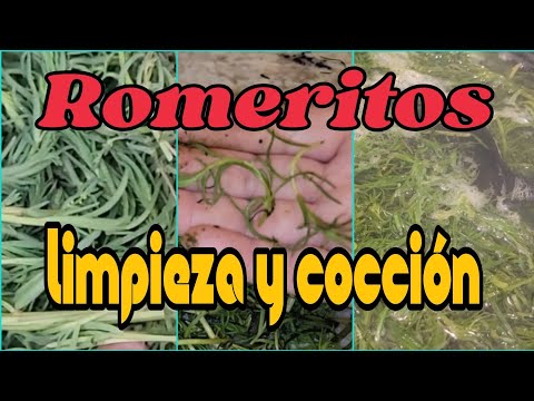 romeritos como limpiar y cocción