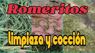 romeritos como limpiar y cocción by RICAS RECETAS ANGYCRISJAVI 408 views 2 months ago 7 minutes, 3 seconds