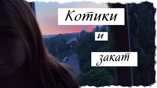 Летний Vlog 3: Потеряли Котика I Встречаем Закат