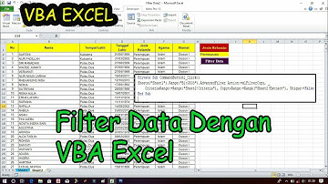Cara filter data berdasarkan kriteria dengan macro vba excel
