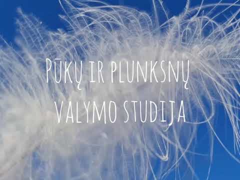 Video: Pūkų Ir Plunksnų Skirtumas