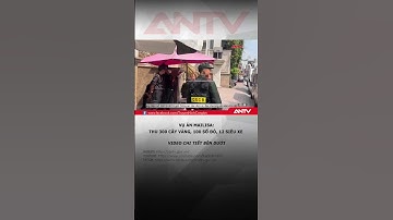 Vụ án Mailisa: Thu giữ, phong tỏa 100 sổ đỏ, 300 lượng vàng và 12 siêu xe #antv #thoisu #shorts