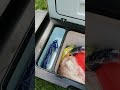 Автомобильный холодильник Libhof Q-40. Обзор на природе.
