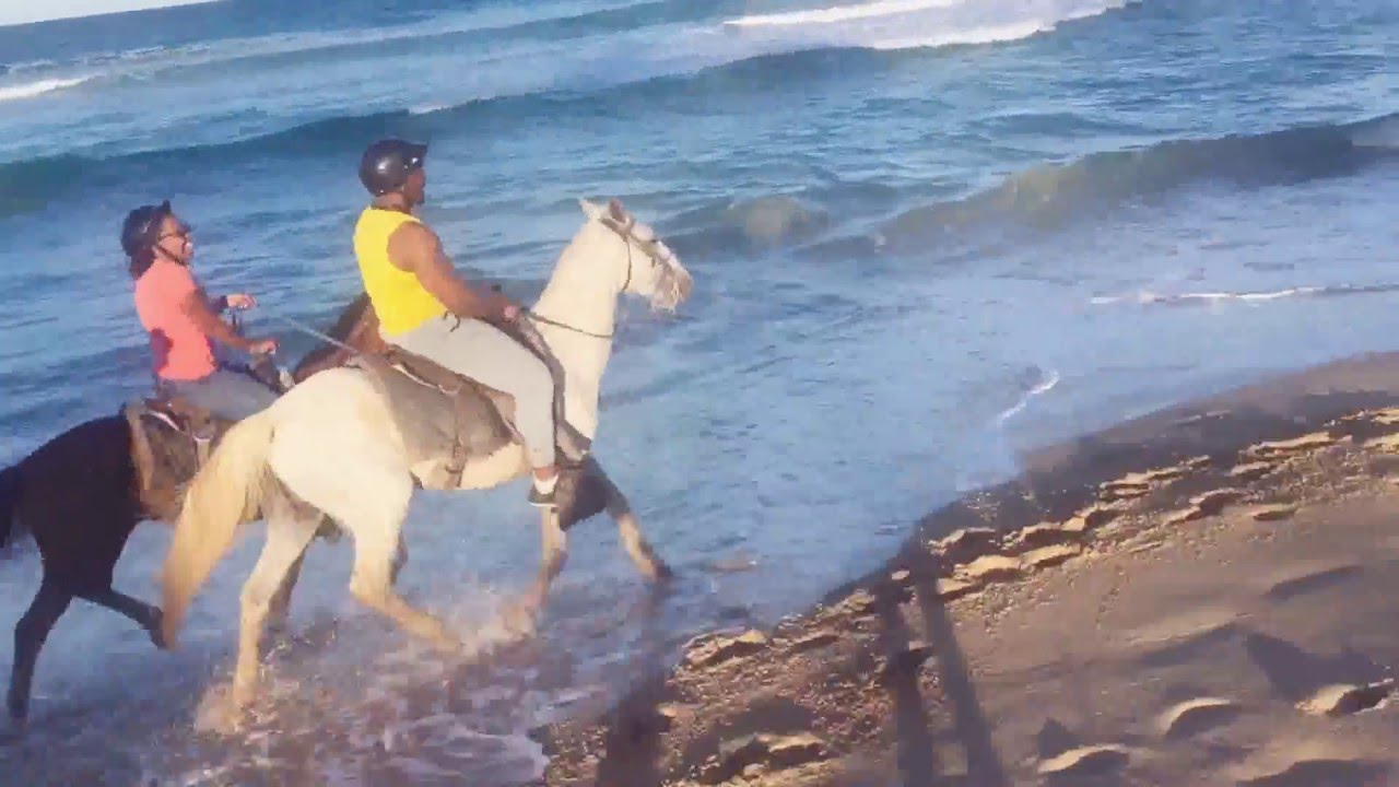 Our First Time Horseback Riding in Punta Cana YouTube