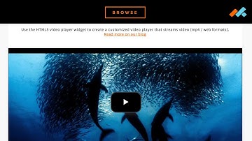 Adobe Muse Tech Tips | HTML5 Video Players by MuseThemes.com