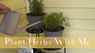 Herb habitat #easy #homemaking #plants