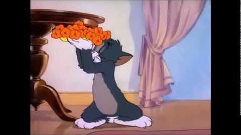 Tom and Jerry/Jimmy Two Shoes AMV-Tragdey