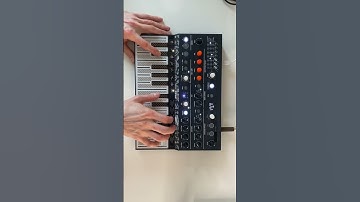 sketch №58 🗾#microfreak #synth #ambient @ArturiaOfficial