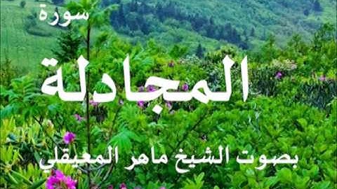 سورة المجادلة بصوت اليخ / ماهر المعيقلي 58