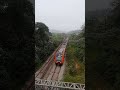 🚆 Trem