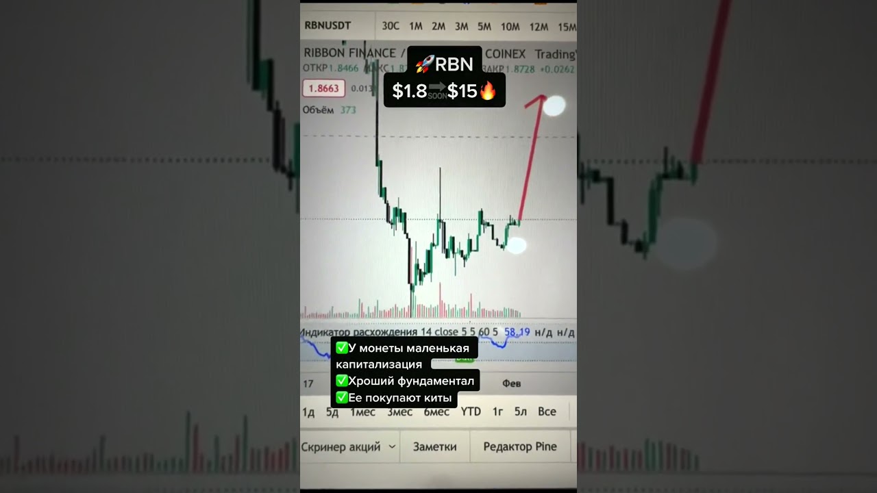 Супер токен RBN. Какие ещё монеты посоветуете? 