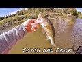 Fall Bass Fishing: Catch and Cook using jigs!
