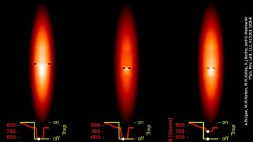 Imaging a Vortex Ring in a Cold Fermionic Gas