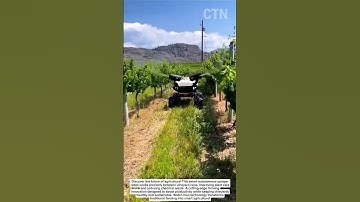 Autonomous Smart Sprayer Robot in Vineyards 🍇🚜 | Future of Farming!