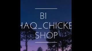 Big Shaq_Chicken Shop Lyrics Video