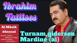 Ibrahim Tatlises - Turnam gidersen Mardine (ai) Resimi