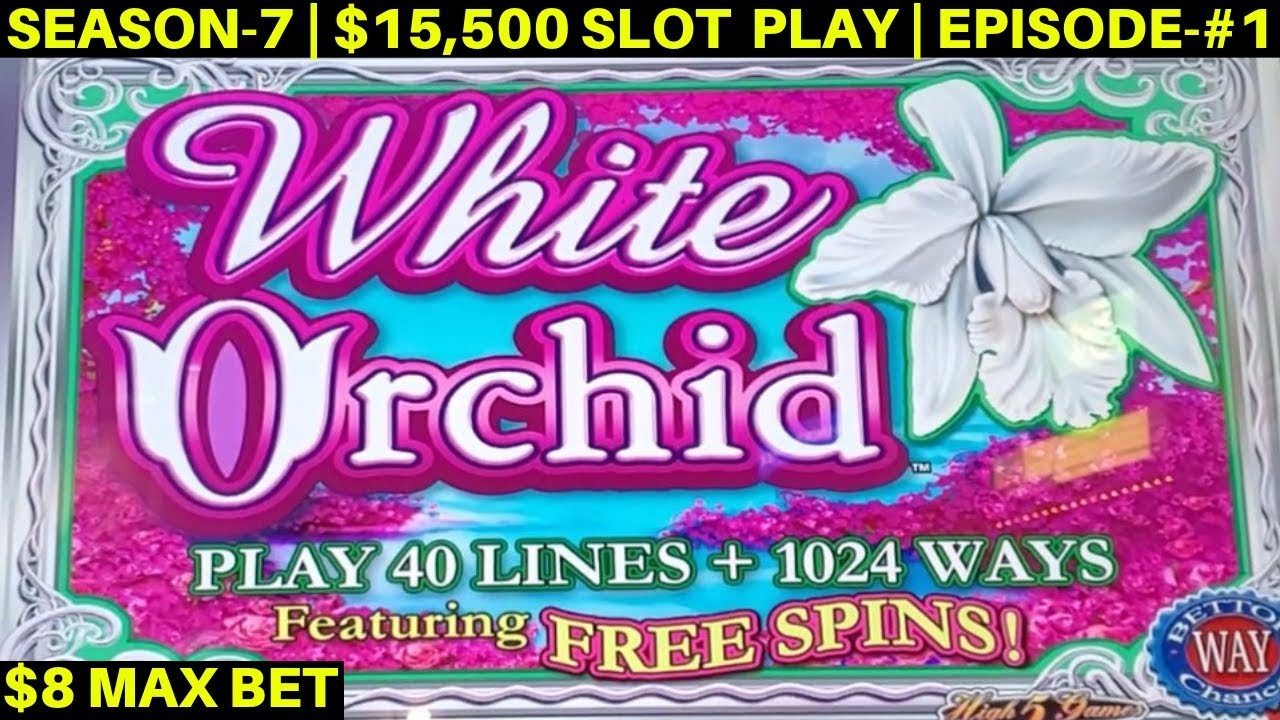 Download White Orchid Slot Machine $8 Max Bet Bonus & Big Line Hits- Great Session | SEASON-7 | EPISODE #1