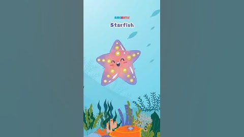 Starfish have no brain | Educational video for kids #funlearning  #ocean