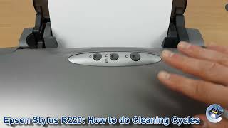 Epson Stylus Photo R220: How to do Printhead Cleaning Cycles and Improve Print Quality