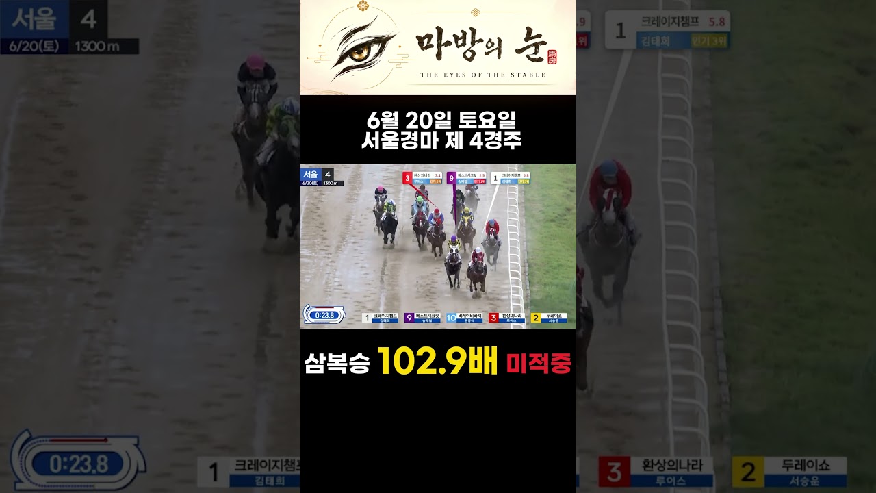 서울 제4경주 삼복승 102.9배, 한 마리 차이 미적중