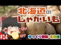 【ゆっくり解説】北海道ってジャガイモ何種類も売ってるの？ジャガイモは品種で使い分ける時代です！