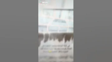 معجزة السيدة زينب ع في ليلة الوحشة 