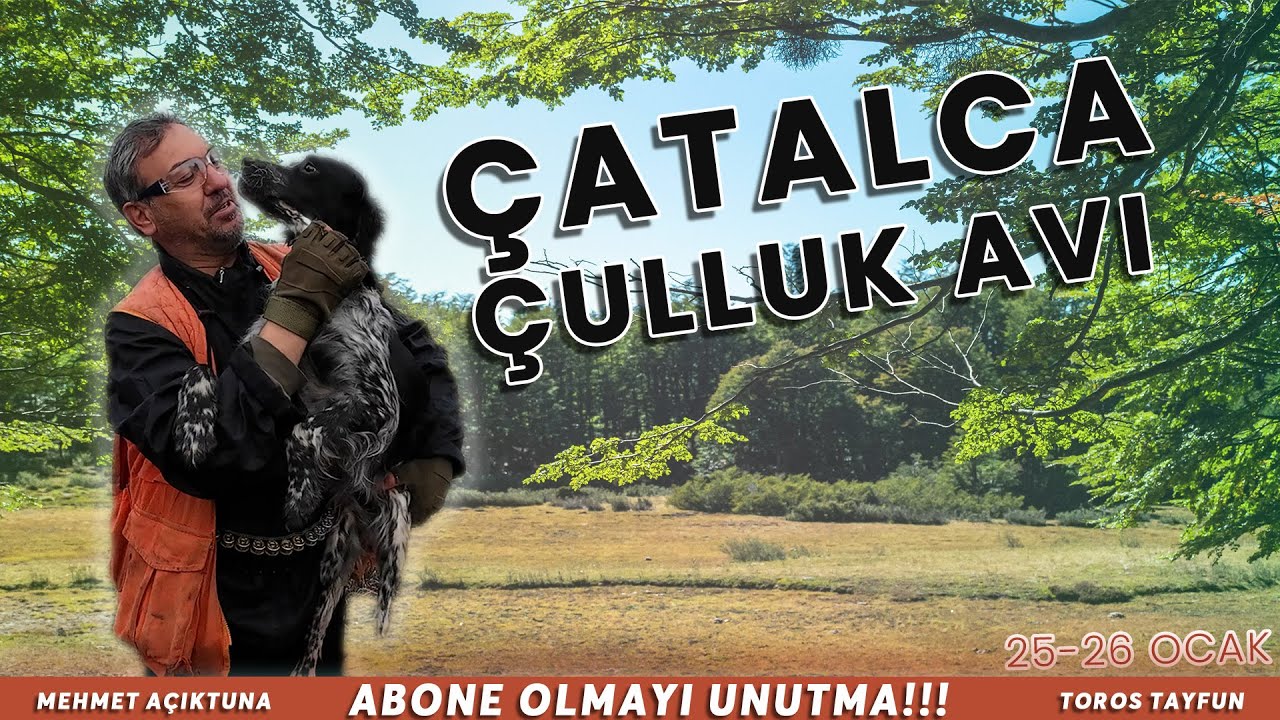 25-26 OCAK ÇULLUK AVI MÜKEMMEL FERMALAR!! #çulluk #woodcock #Best ...