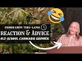 Full flower indoor grow timelapse  reaction  advice  from old school cannabis grower