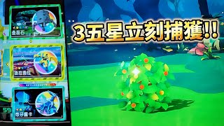 【Pokémon gaole RUSH4彈】轟隆隆立刻捕獲引擎快風