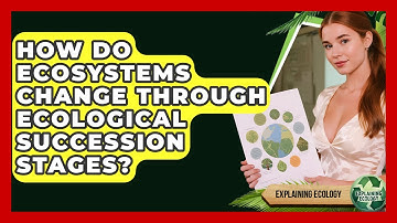 How Do Ecosystems Change Through Ecological Succession Stages? - Explaining Ecology