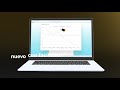SAP Business One - DashboardsY  KPI's